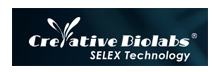 Selex Technology - Top Companies in Aptamer Development Selex Technology