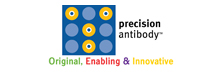 Precision Antibody