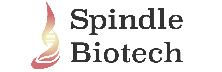 Spindle Biotech