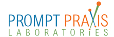 Prompt Praxis Laboratories