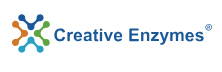 Creative Enzymes