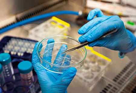 Life Sciences Advisory and Investment Banking Powering Healthcare Innovation