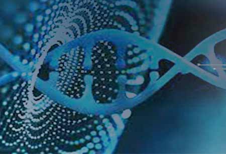 The Future of Imaging and the Role of the Pathology Data Scientist in Drug Discovery
