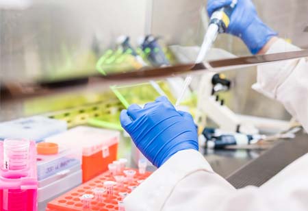 Leveraging Data Analytics for Enhanced Food Safety and Quality Control