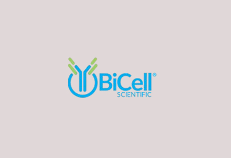 Bicell Scientific: Shaping the Future of Antibody Discovery and Therapeutics Bicell Scientific: Shaping the Future of Antibody Discovery and Therapeutics