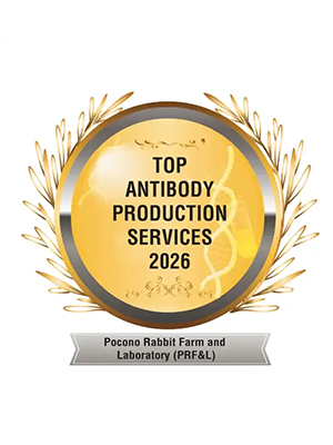 Top Antibody Production Services 2026